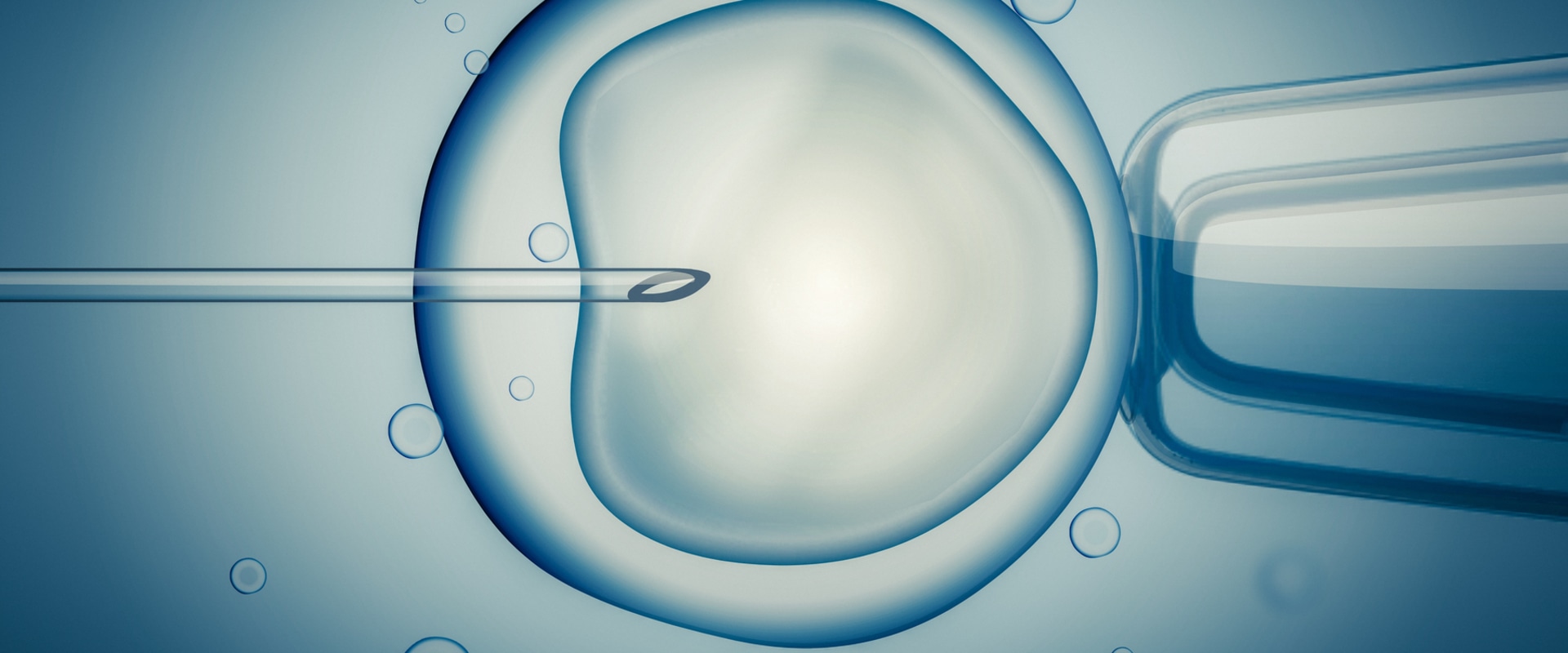 Understanding In Vitro Fertilization