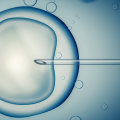 Understanding In Vitro Fertilization