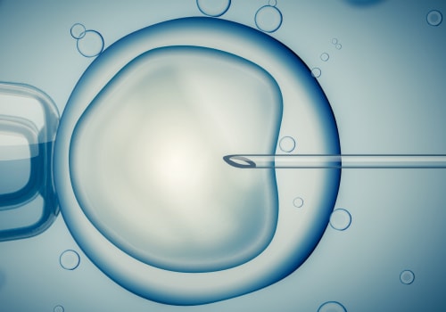 Understanding In Vitro Fertilization